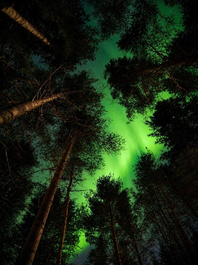 Northern Lights while relaxing in a hammock